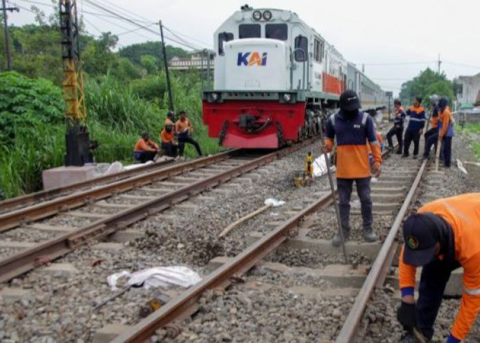 Jaringan Kereta Pulau Kalimantan Memperkuat Distribusi Logistik, Pengamat: Butuh Dukungan APBN