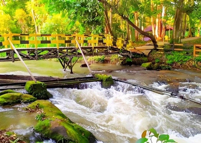 Wisatawan Mancanegara Lirik Kutai Barat, Jantur Geronggong Jadi Primadona 2025