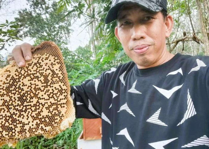 Manisnya Bisnis Madu di Balikpapan