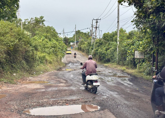 Aktivitas Truk Batu Bara di Kariangau Balikpapan: 2020 Dimulai, 2022 Didemo, 2024 Lewat Lagi