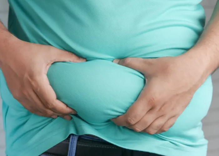 Obesitas Mempengaruhi Jumlah Produksi Sperma, Peneliti Mengungkap Mekanismenya di Otak