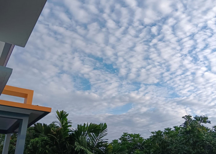 Ramalan Cuaca Kaltim, 4 Juni 2025, Cek di Sini!