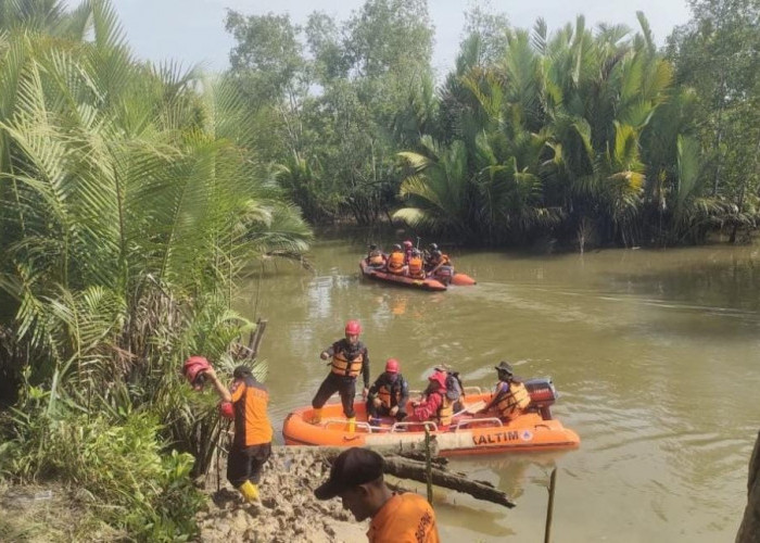 Serangan Buaya Marak di Paser, Bupati Keluarkan Instruksi Darurat