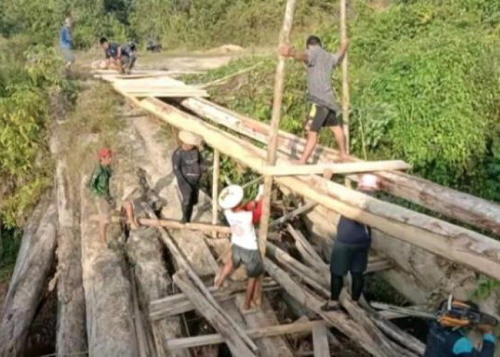 Akses Jalan Sulit, Camat Long Apari Singgung Kelancaran Program Makan Bergizi Gratis di Perbatasan
