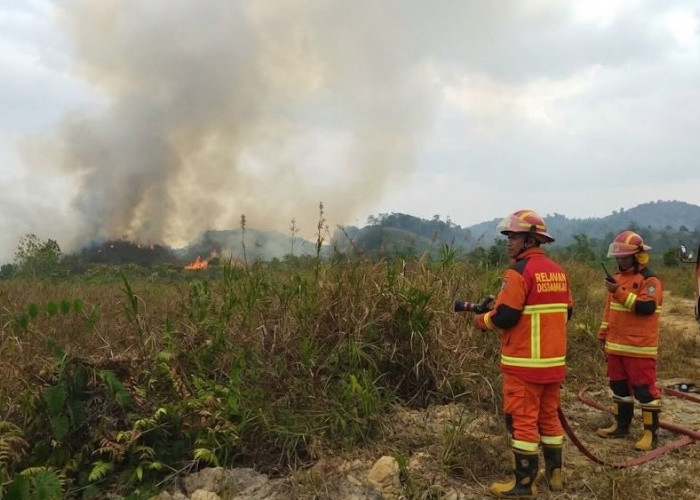 Karhutla Tak Kunjung Berakhir, Samarinda Ajukan Perpanjangan Status Tanggap Darurat Ketiga