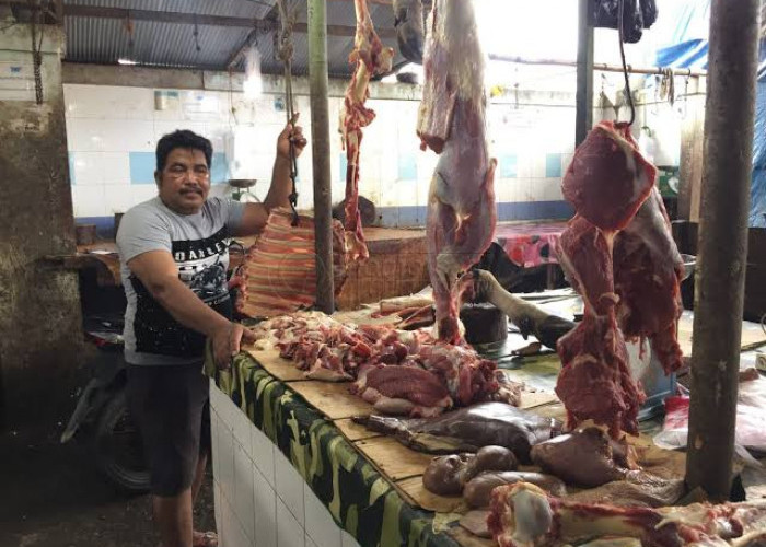 Stok Daging Selama Ramadan dan Idulfitri di Paser Dipastikan Aman