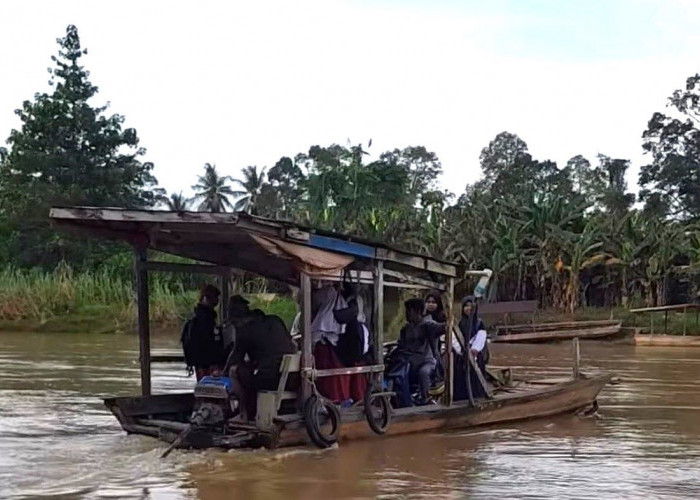 Di Tengah Tambang dan Sawit, Anak Desa Longjak Masih Menyeberang Sungai untuk Belajar
