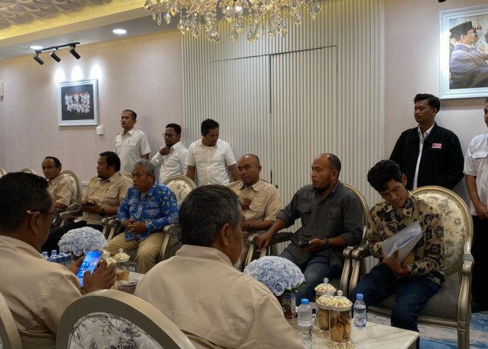 Wagub Kaltim Fasilitasi Audiensi Tenaga Non-ASN ke Kementerian PAN-RB