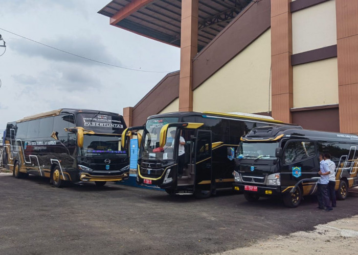 Beredar Isu Disporapar Paser Beli Bus Bekas Senilai Rp4,4 Miliar, Ternyata Pelat yang Dipasang Bukan Asli