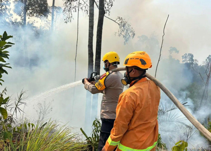 37 Kasus Karhutla Diproses di Kaltim, 12 Tersangka Dijerat Hukum 
