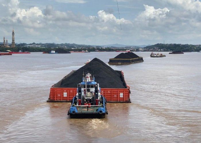 Daya Beli  Ekspor Batu Bara Lesu, Banyak Perusahaan Kurangi Produksi hingga Rumahkan Karyawan