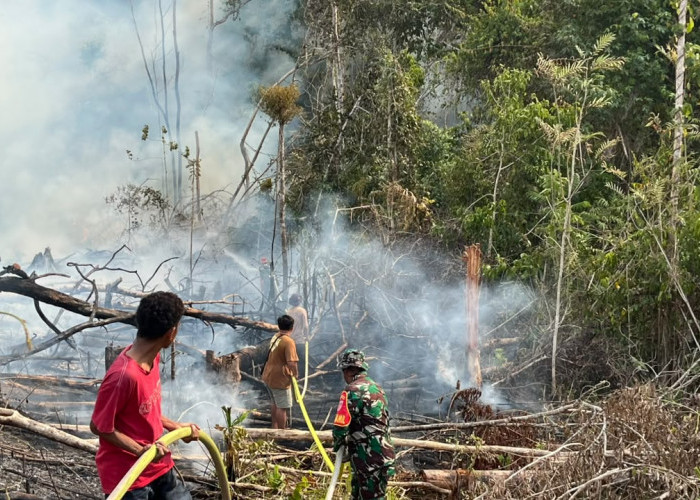 Pemkab Paser Siapkan Rp 5 Miliar untuk Tanggap Darurat Kemarau dan Karhutla 