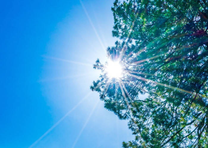 Ramalan Cuaca Kaltim dan IKN, 25 April 2026, Cek di Sini!