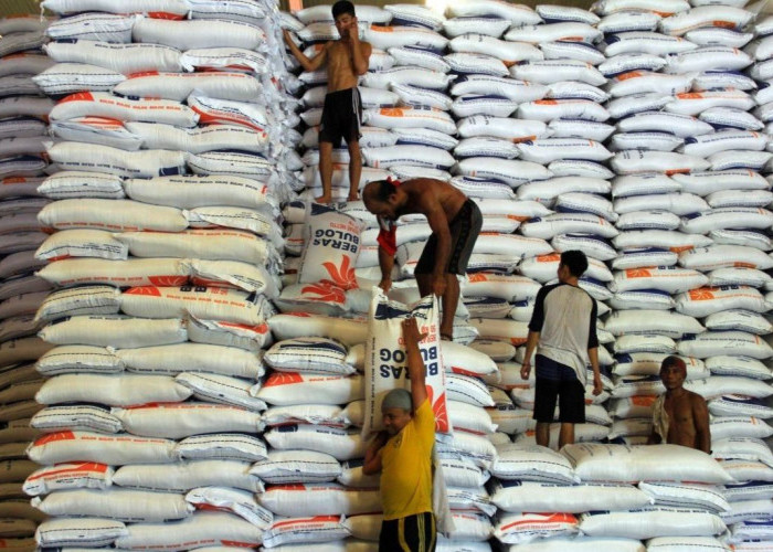 Stok Beras Nasional 4,4 Juta Ton, Bulog akan Bangun 100 Gudang Baru