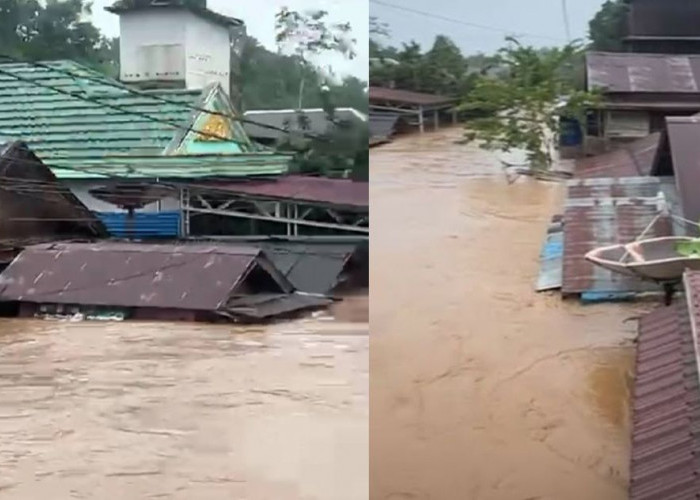 Banjir Rendam Sejumlah Desa di Kabupaten Tebing Tinggi Kalsel, Ketinggian Air hingga Sentuh Atap Rumah
