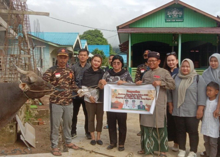 Pemkab Mahulu Salurkan Bantuan Hewan Kurban untuk Lima Kecamatan
