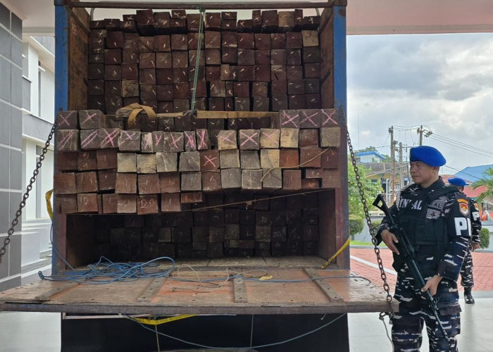 Pengiriman Kayu Ulin Ilegal Digagalkan di Pelabuhan Semayang Balikpapan, Modus Gunakan Dokumen Palsu