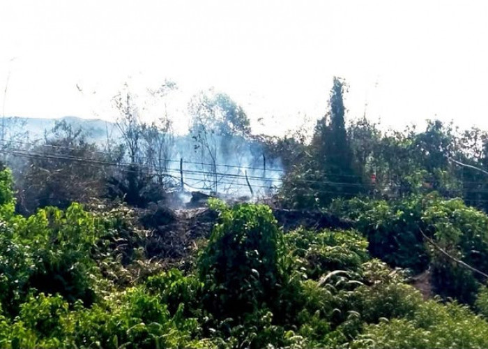 29 Titik Karhutla Terpantau di Kutim, Sangatta Selatan hingga Bengalon Masuk Zona Rawan 
