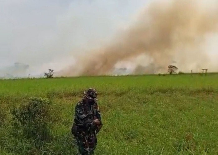 Disbun Kaltim Belum Temukan Kebun Sengaja Dibakar, Pengawasan Libatkan Banyak Pihak