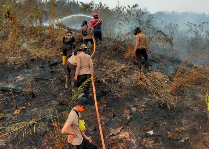 Disdamkarmat Berau Catat 225 Titik Karhutla Periode September