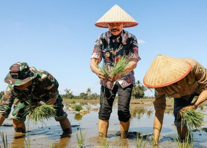 Target IP 2,5 Sektor Pertanian di PPU Terancam Gagal Dicapai