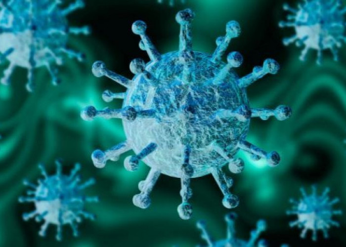 Kasus Flu Burung pada Mamalia Ditemukan di Australia