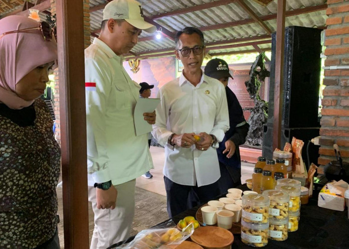 Desa Ketapanrame Raup Rp4,4 Miliar dari Wisata Desa, Warga Jadi Investor