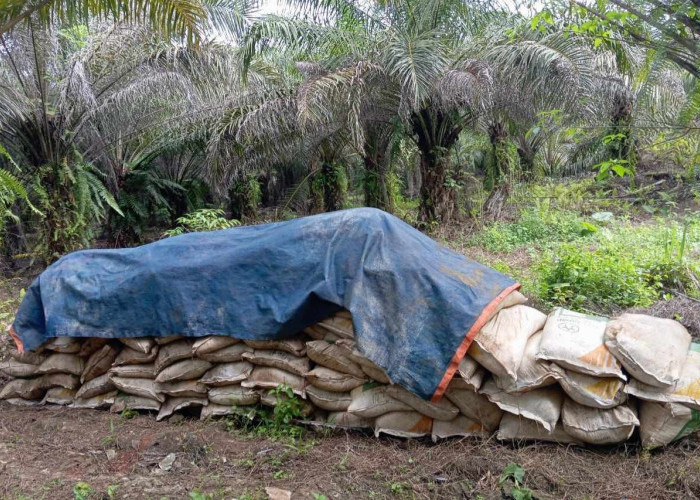 Gelapkan 6 Ton Pupuk,  2 Karyawan Perusahaan di Berau Ditangkap Polisi