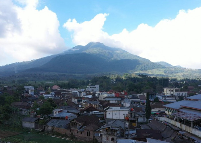 Mengenal Desa BRILian Sumowono, Desa Sayur yang Tumbuh dan Terus Berinovasi Bersama BRI