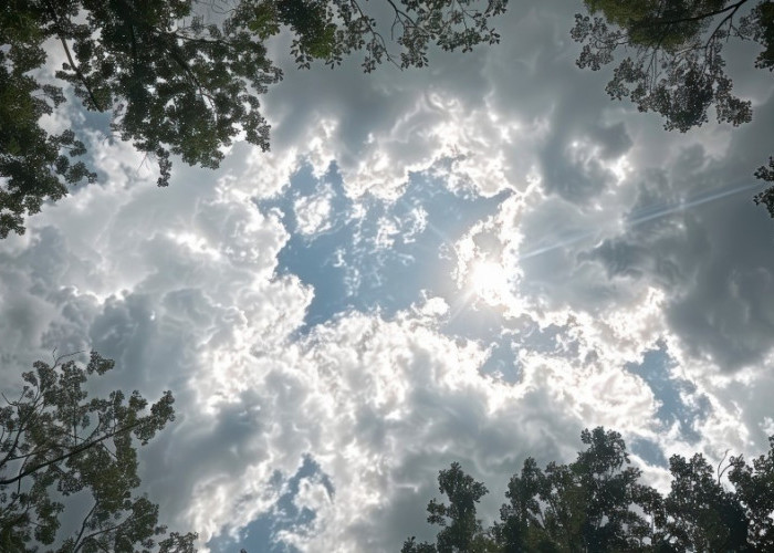 Ramalan Cuaca Kaltim dan IKN, 19 Januari 2026, Cek di Sini!