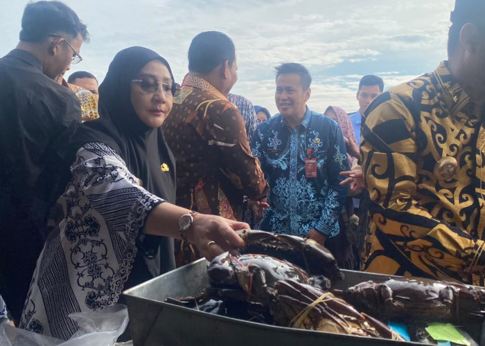 5 Ton Ikan Murah Ludes, Pemkab Berau Perluas Bazar Ikan ke Tanjung Redeb 