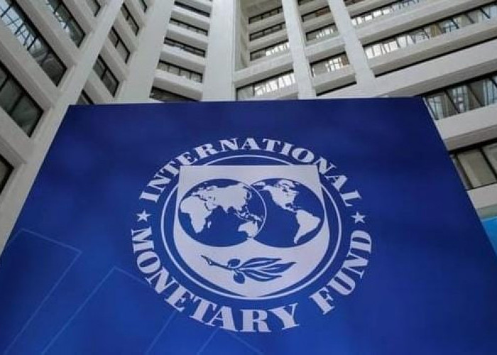 IMF Sebut Ekonomi Global Mulai Melambat, Inflasi Bergerak Variatif Akibat Tekanan Tarif dan Lemahnya Ekspor