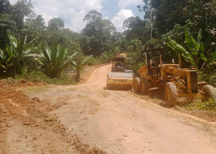 Akses Darat Sudah Dibuka, Distribusi Pangan Menuju Long Apari Mulai Lancar 