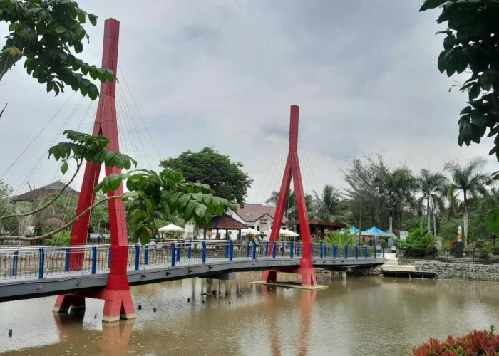 PPU Hari Ini, Kualitas Udara Tak Sehat untuk Kelompok Sensitif