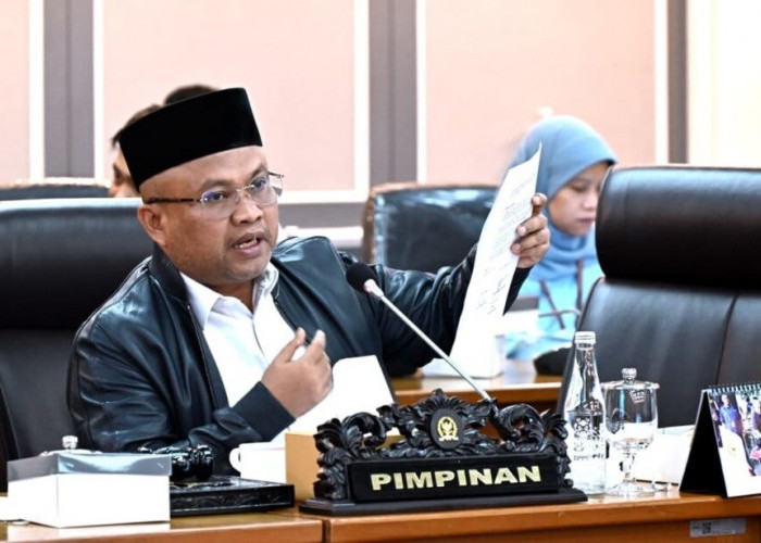 Gerindra Peringatkan Hotman soal Kasus Febrie: Jangan Dikaitkan dengan Presiden!
