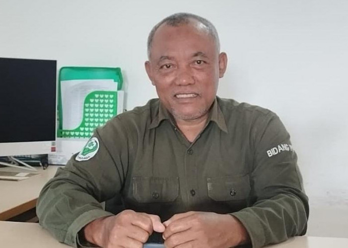 Disengat Ubur-Ubur Saat Berlibur di Pantai? Lakukan Hal Ini Segera!