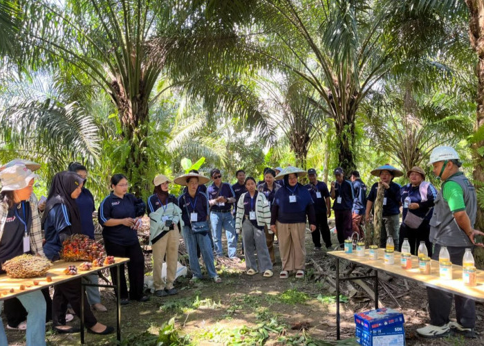 Tiga Kampung di Berau Jadi Sasaran Peningkatan Kompetensi Petani Sawit oleh PT NPN