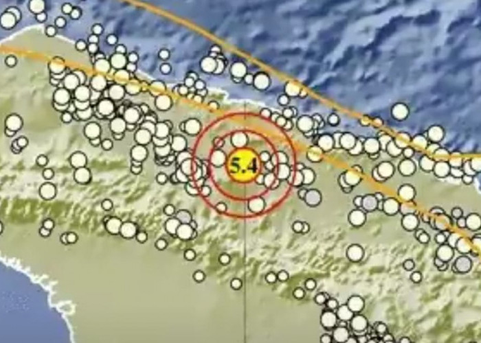 Gempa Bumi Berkekuatan M 5,4 Guncang Keerom Papua