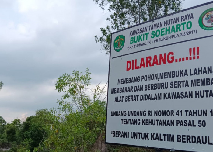 Karhutla Berulang hingga 1.511 Hektare, Kemenhut Sanksi 6 Perusahaan di Kalimantan