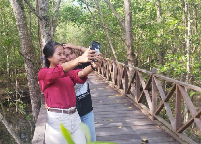 Pokdarwis Tanjung Berseri PPU Kantongi Hibah Rp140 Juta untuk Ekowisata Mangrove