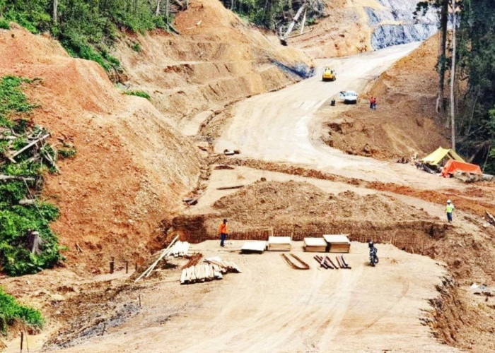 Jalan Perbatasan Kalimantan-Malaysia Sepanjang 2.300 Km Ditargetkan Tuntas 2028