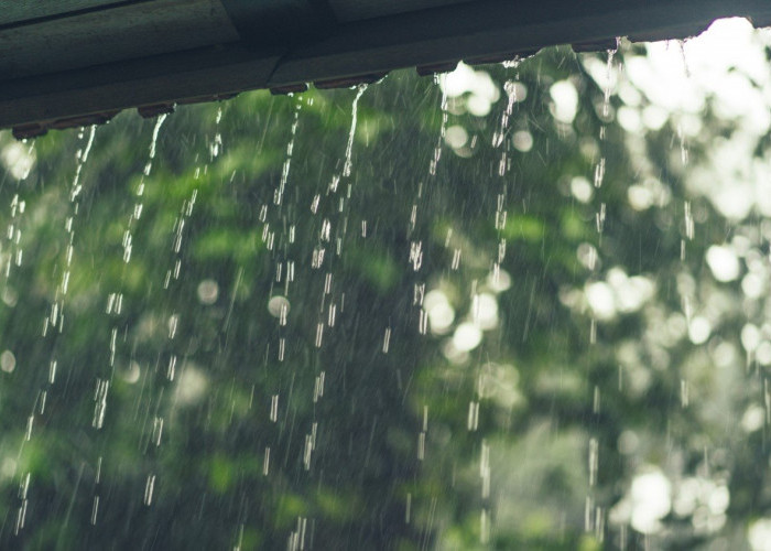 Ramalan Cuaca Kaltim dan IKN, 30 April 2026, Sejumlah Kawasan Diguyur Hujan!