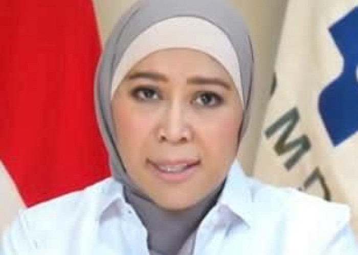 Meutya Hafid Bantah Kemkomdigi Batasi Konten Karhutla, Katanya Platform Digital Perlu Bertanggungjawab