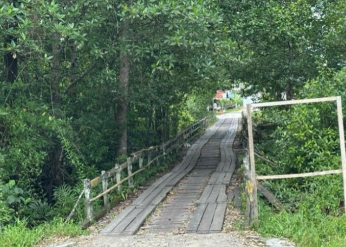 DPUTR Paser Bakal Tinjau Kondisi Jembatan Ulin Desa Pasir Mayang untuk Perbaikan