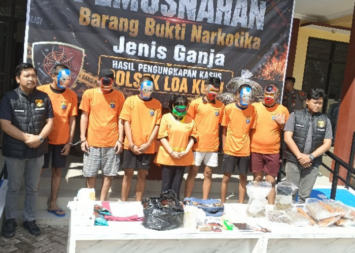 Polsek Loa Kulu Ungkap Jaringan Ganja 3,3 Kilogram, 7 Tersangka Diamankan 