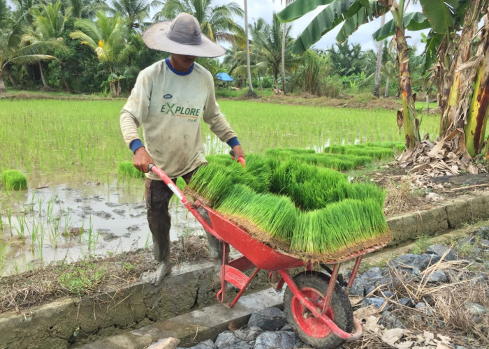 Upaya Hijaukan Lahan Gersang, Pemkab PPU Miliki Wilayah Konservasi Wanagama Nusantara