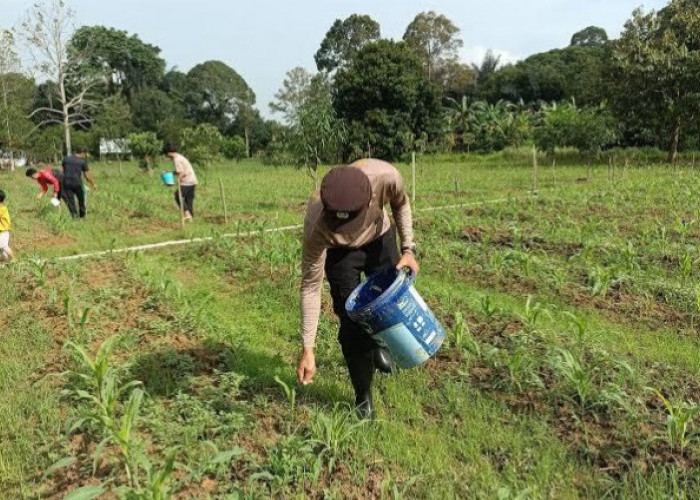 Pupuk Kaltim Siapkan 161.993 Ton Pupuk untuk Musim Tanam Oktober–Maret