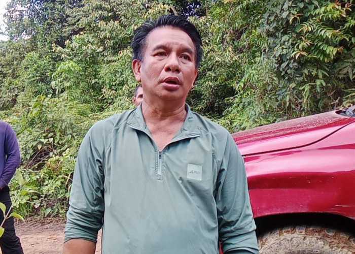 DPRD Kutai Barat Minta Penyitaan Total Kayu di Hutan Desa Besiq, Khawatir Aktivitas Belum Berhenti
