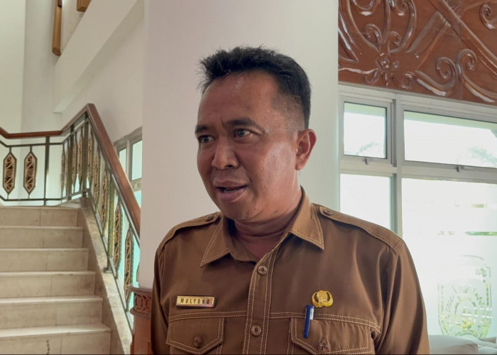 Kabut Asap Makin Parah, Sekolah di Kutim Hentikan Tatap Muka dan Terapkan PJJ