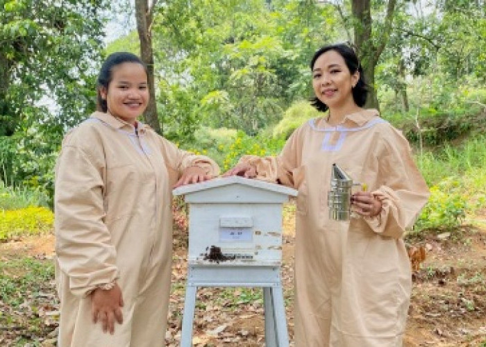 UMKM Madu Lokal Naik Kelas! Tembus Pasar Global Berkat Dukungan BRI